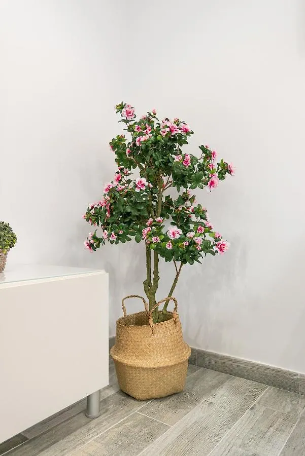 Faro, Bonito Apartamento En La Malagueta Malaga